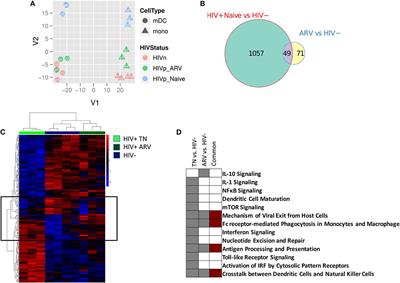 Myeloid Cells Enriched for a Dendritic Cell Population From People Living With HIV Have Altered Gene Expression Not Restored by Antiretroviral Therapy